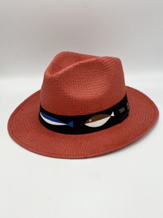 Ζωγραφισμένο καπέλο