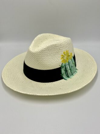 Ζωγραφισμένο καπέλο