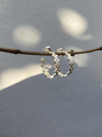 Ασημένιοι πριονωτοί κρίκοι